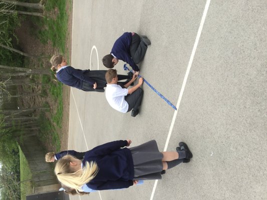 Image of Class Three Science Investigation